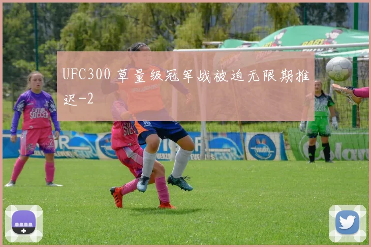 UFC300 草量级冠军战被迫无限期推迟