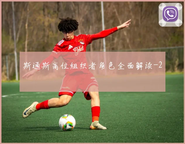 斯通斯高位组织者角色全面解读