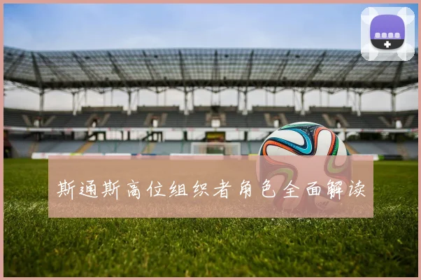 斯通斯高位组织者角色全面解读