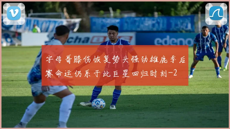 字母哥膝伤恢复势头强劲雄鹿季后赛命运仍系于此巨星回归时刻