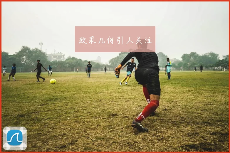 效果几何引人关注