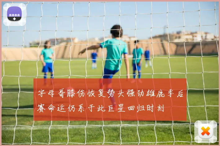 字母哥膝伤恢复势头强劲雄鹿季后赛命运仍系于此巨星回归时刻